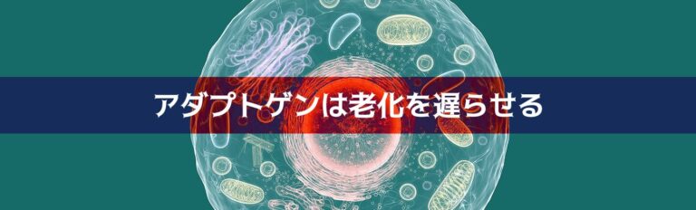 アダプトゲン